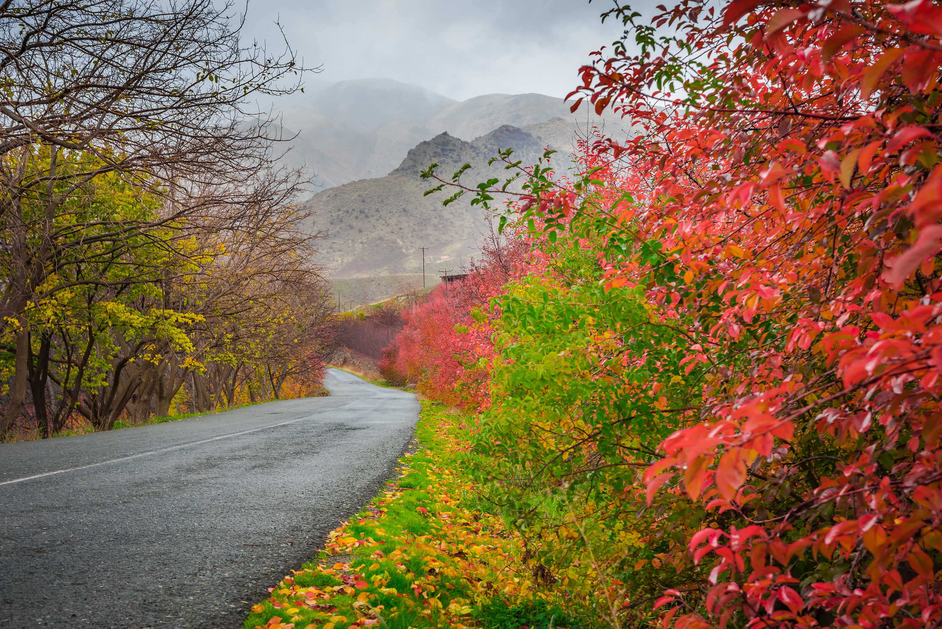 طبیعت هزار‌رنگ «توریور» زیبنده تابلوی پاییزی کردستان